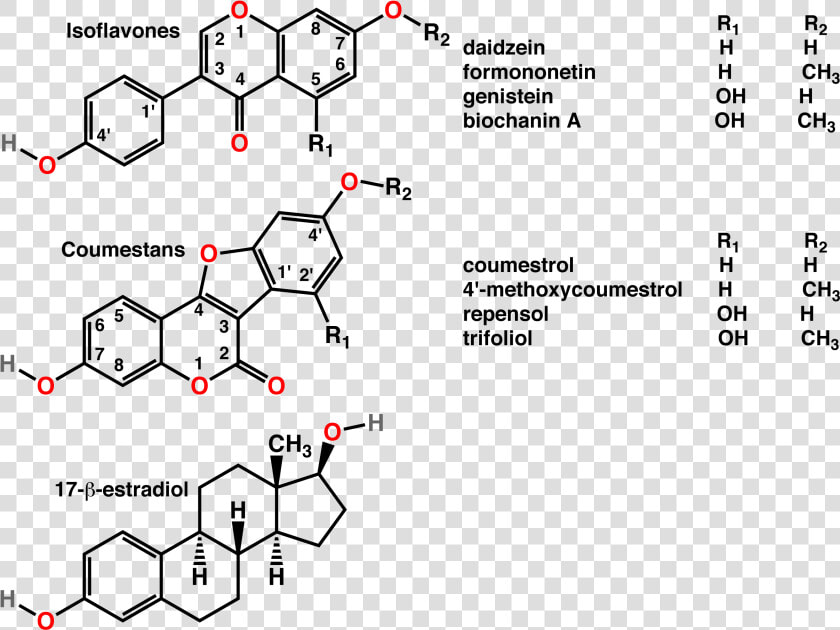 Soy Protein Isolate Structure  HD Png DownloadTransparent PNG