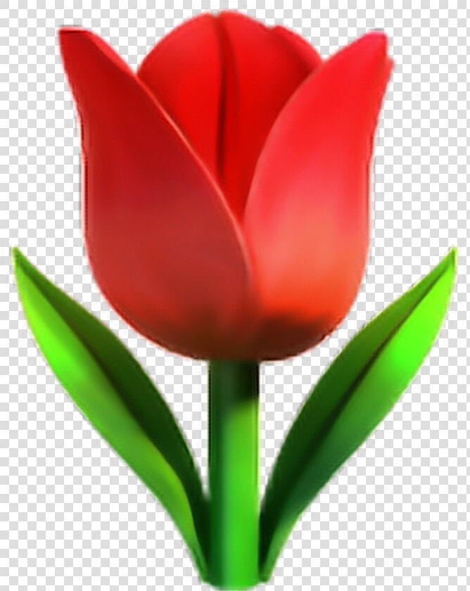  red tulip emoji ✨🌷❤️✨   Tulip Emoji  HD Png DownloadTransparent PNG