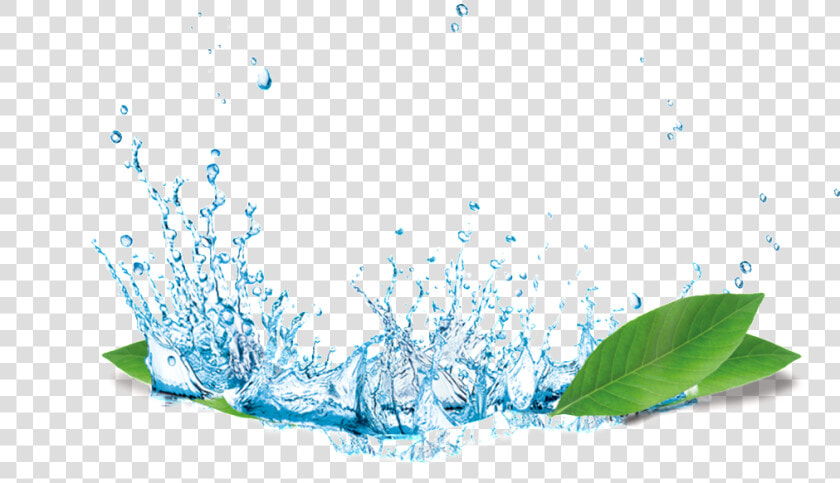 Splash Water Flower Transparent Material   Splash Water Png Hd  Png DownloadTransparent PNG