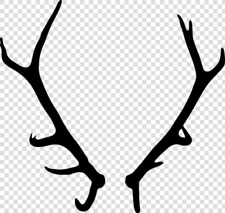 Antler Clipart Wildlife   Transparent Background Antlers Png  Png DownloadTransparent PNG