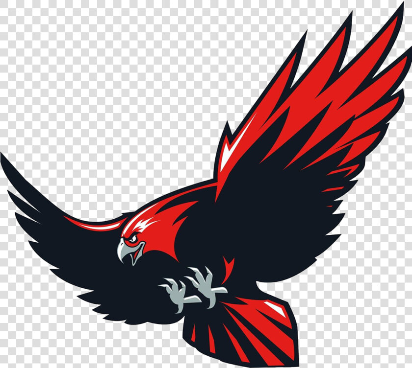 Hawks Men S Basketball   Howard College Hawks Logo  HD Png DownloadTransparent PNG