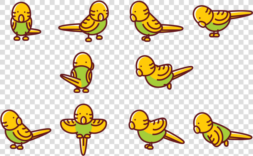 Budgie Cartoon Vectors   Budgie Cartoon  HD Png DownloadTransparent PNG