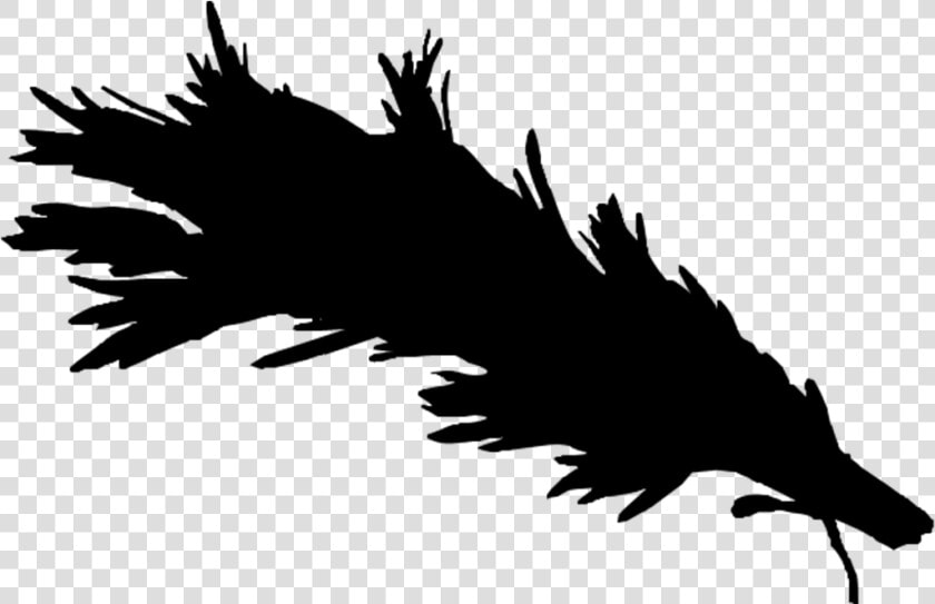 Bald Eagle Beak Font Silhouette Feather  HD Png DownloadTransparent PNG