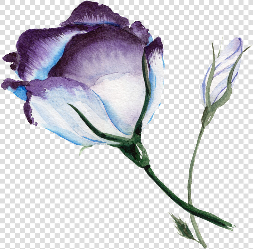 Purplish Blue Flower Watercolor Transparent Flower   Png Background Flower Watercolor Blue  Png DownloadTransparent PNG