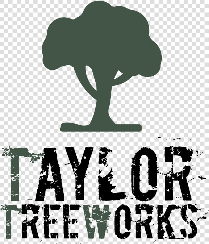 Ttw Logo   Reggae Roots  HD Png DownloadTransparent PNG