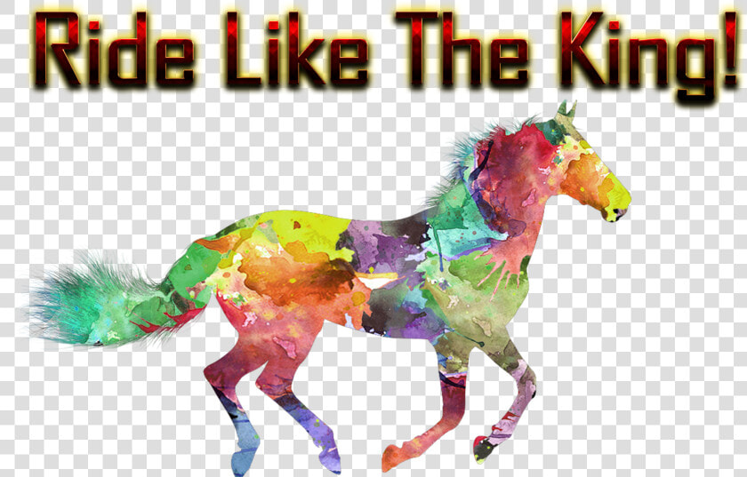 Ride Like The King Png Free Background   Illustration Horses Free  Transparent PngTransparent PNG