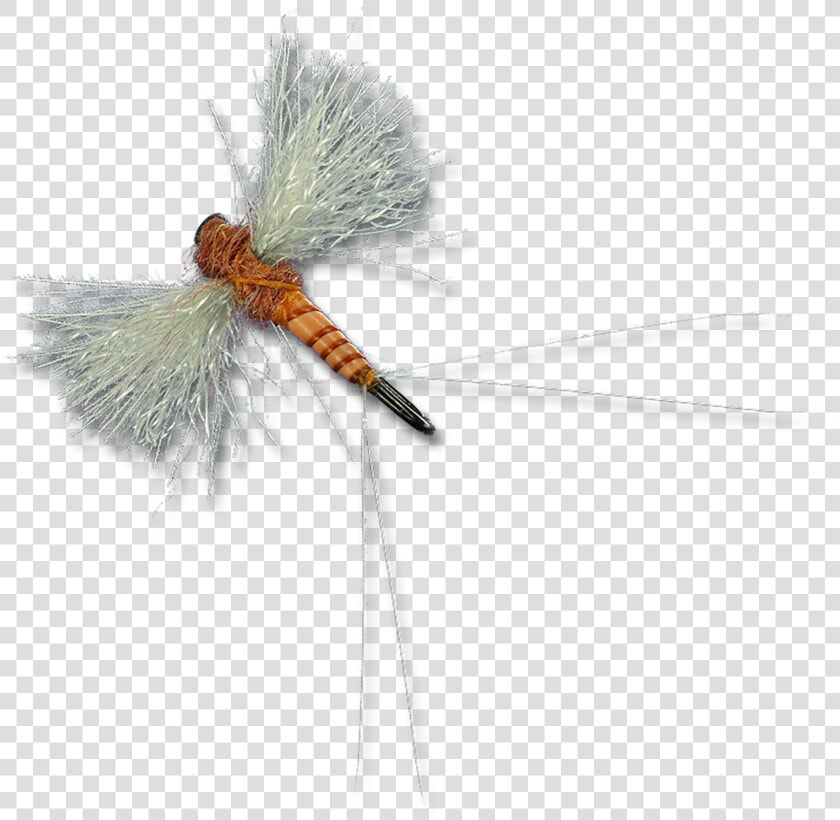 Cdc Biot Spinners   Dragonfly  HD Png DownloadTransparent PNG