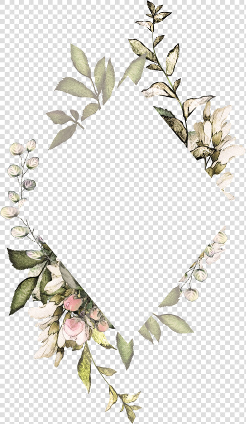 Clip Art Silver Eucalyptus   Flower Frame Transparent Background  HD Png DownloadTransparent PNG