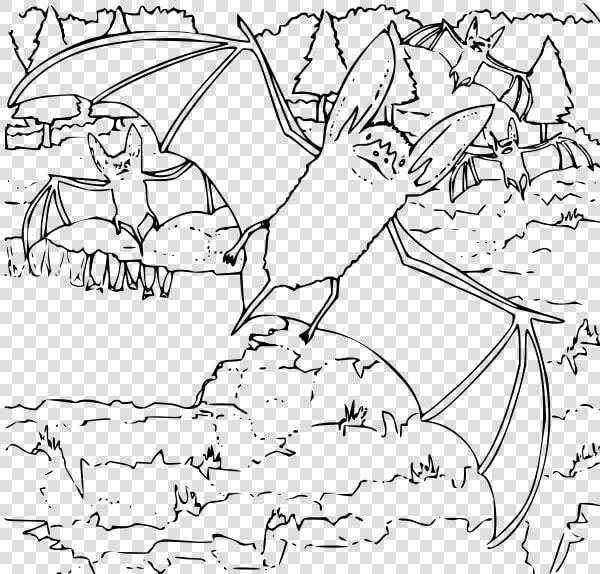 Coloring Book Ozark Big Eared Bat Png Clip Arts   Big Eared Bat Coloring Pages  Transparent PngTransparent PNG