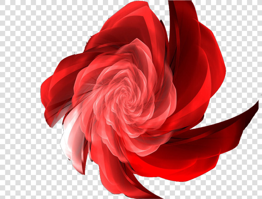 3d Flowers Free Png Images   Hybrid Tea Rose  Transparent PngTransparent PNG