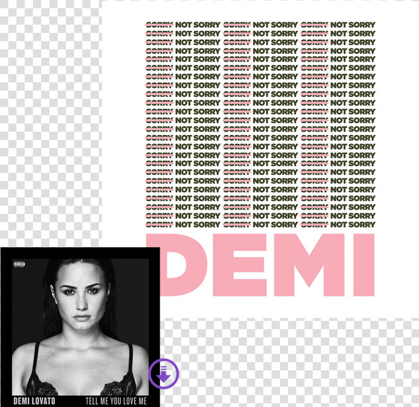 Demi Lovato Sorry Not Sorry Shirt  HD Png DownloadTransparent PNG