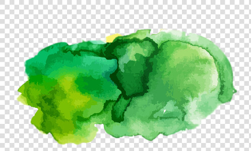  watercolor  colorsplash  green   Brush Colours  HD Png DownloadTransparent PNG