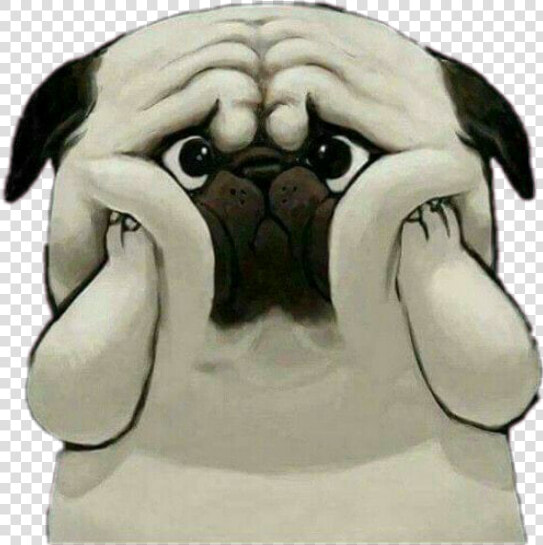  cute  dog  sad  shocked   Cute Dog Images Hd Download  HD Png DownloadTransparent PNG