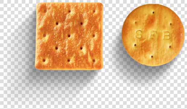 Water Biscuit  HD Png DownloadTransparent PNG