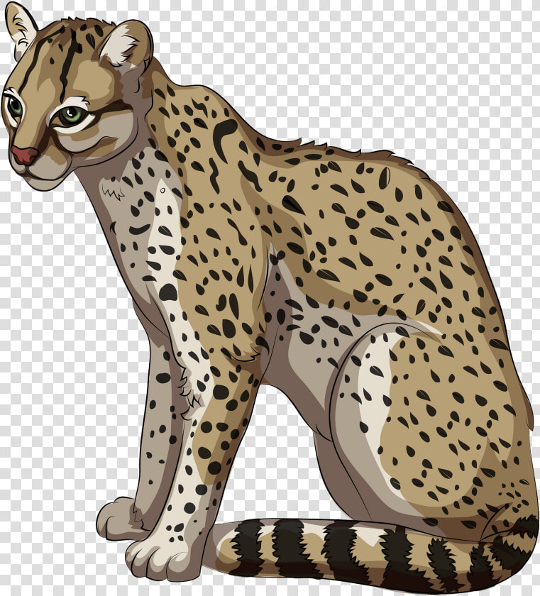 Clip Art Free Download Creazilla   Ocelote Png  Transparent PngTransparent PNG