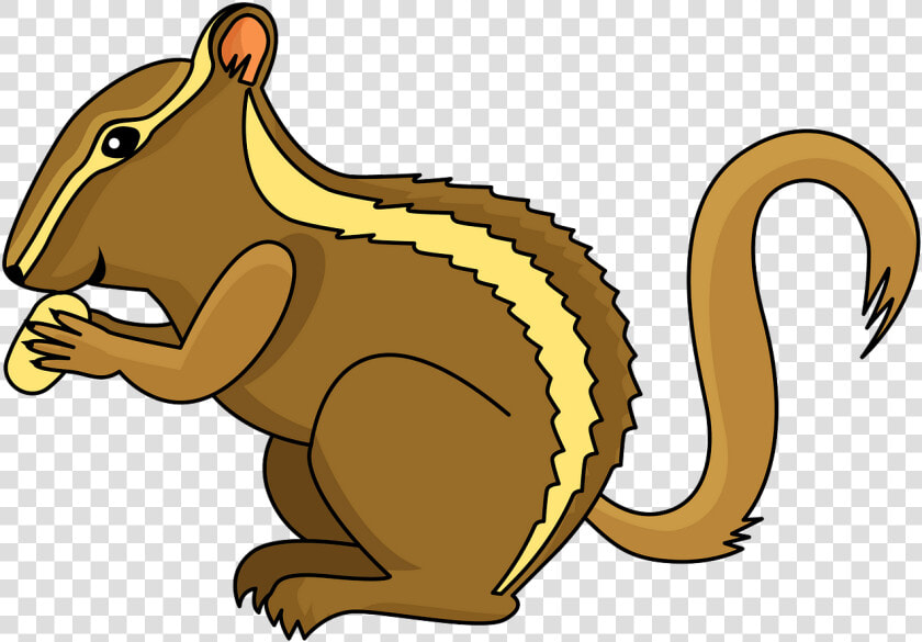 Chipmunk Png  Transparent PngTransparent PNG