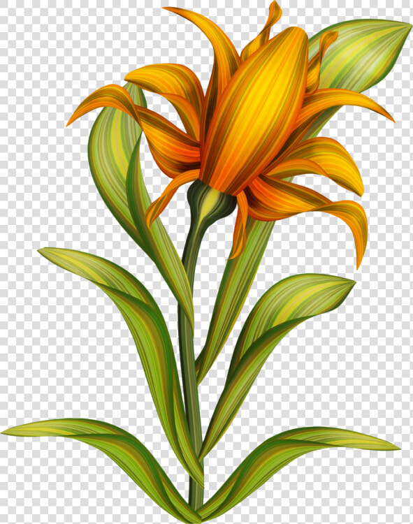 Plant flower petal   زهور عملاقة كليب ارت  HD Png DownloadTransparent PNG