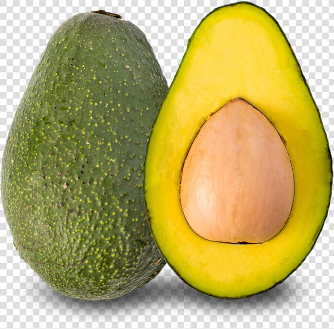 Fuerte Avocado Png  Transparent PngTransparent PNG