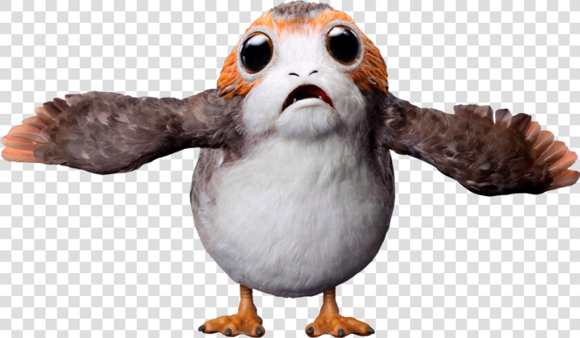 Porgs Were A Type Of Bird   Porg Star Wars Transparent  HD Png DownloadTransparent PNG