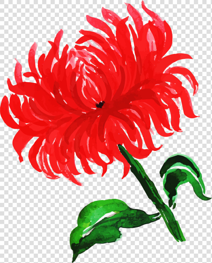 Anthurium  HD Png DownloadTransparent PNG