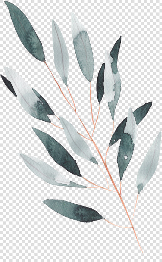 Hand Painted A Leaf Watercolor Transparent   Watercolor Leaves Transparent Bg  HD Png DownloadTransparent PNG