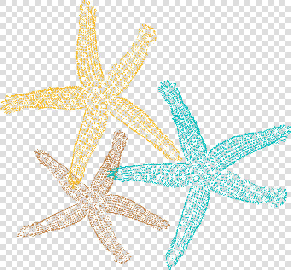 Transparent Starfish Clipart   Transparent Background Starfish Clipart  HD Png DownloadTransparent PNG