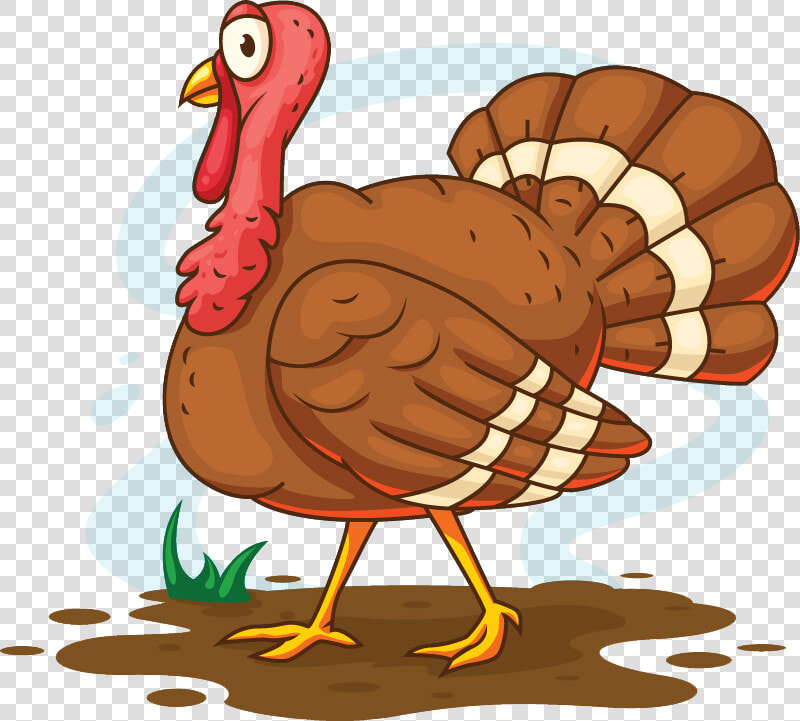 Turkey Meat Cartoon Illustration   Turkey Illustration Png  Transparent PngTransparent PNG