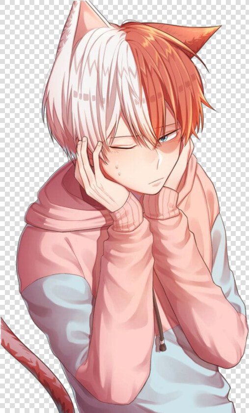 Transparent Todoroki Shouto Png   Shouto My Hero Academia  Png DownloadTransparent PNG