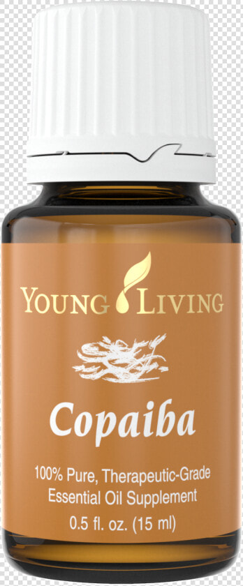 Copaiba   Young Living Copaiba 5ml  HD Png DownloadTransparent PNG