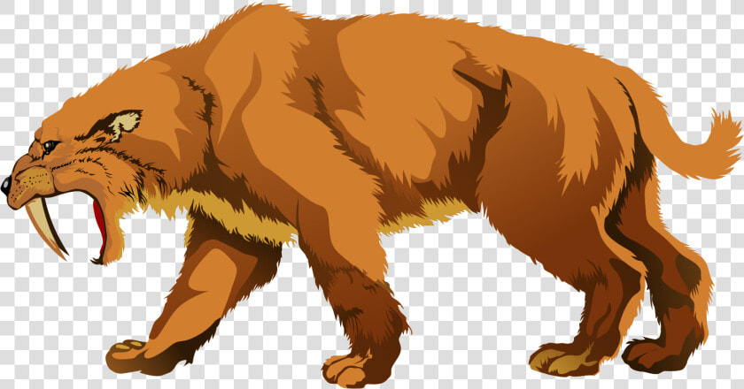 Tiger Clipart   Saber Tooth Tiger Clipart  HD Png DownloadTransparent PNG