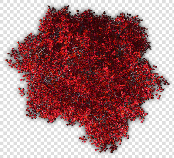 Site Plan Trees Png   Red Tree Png Top View  Transparent PngTransparent PNG