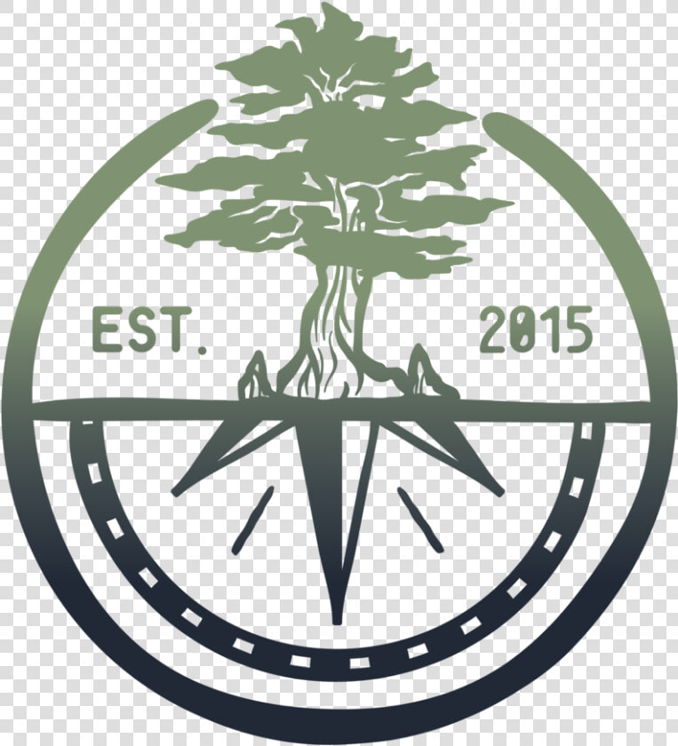 Cypress Tree Png   Luck  Transparent PngTransparent PNG