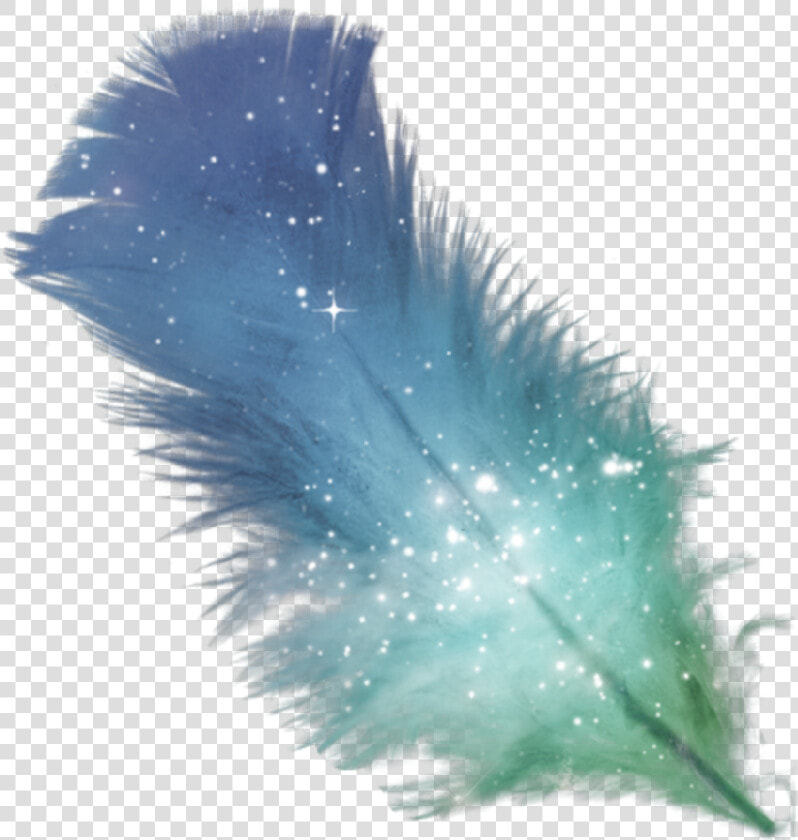  feather  glitter  colormix   Transparent Purple Feather Png  Png DownloadTransparent PNG