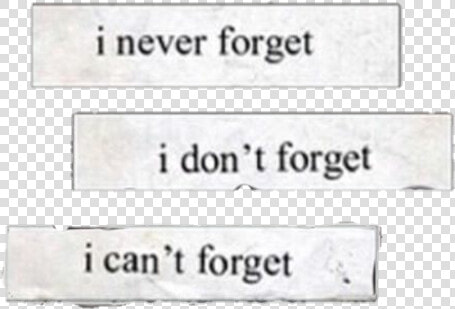  sad  quotes  quote  aesthetic  tumblr  tumblraesthetic   Never Forget I Dont Forget I Cant Forget  HD Png DownloadTransparent PNG