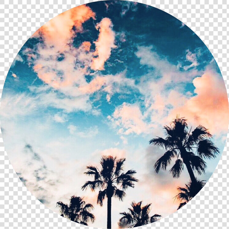  aesthetic  background  circle  sticker  tropical  trees   Green Tropical Aesthetic Background  HD Png DownloadTransparent PNG