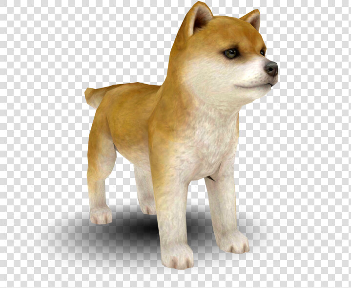 Shiba Inu Norwegian Lundehund Puppy Dog Breed Nintendogs   Super Mario Odyssey Dog  HD Png DownloadTransparent PNG