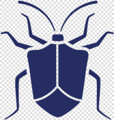 Stinkbugs uspest   Black Bug In Tennessee  HD Png DownloadTransparent PNG