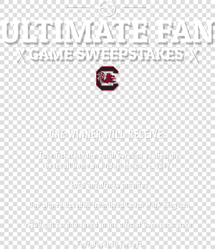 South Carolina Gamecocks Football   Soul Calibur 4 Ps3  HD Png DownloadTransparent PNG