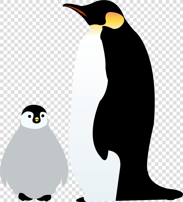 Emperor Penguin Antarctica Illustration Image   皇帝 ペンギン フリー 素材  HD Png DownloadTransparent PNG