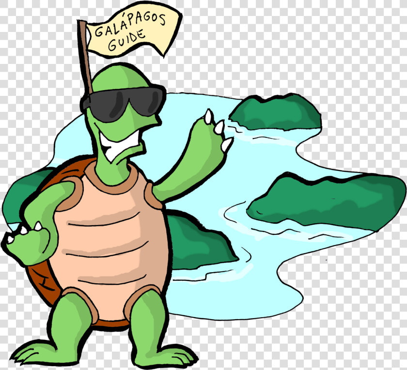 Tortoise Clipart Turtoise   Cartoon  HD Png DownloadTransparent PNG