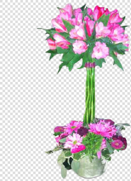 Alstroemeria Topiary  HD Png DownloadTransparent PNG