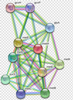 Meth Protein   Circle  HD Png DownloadTransparent PNG