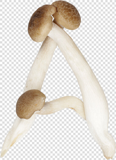 Shimeji Mushroom Font A   Mushrooms Shaped Like Letters  HD Png DownloadTransparent PNG