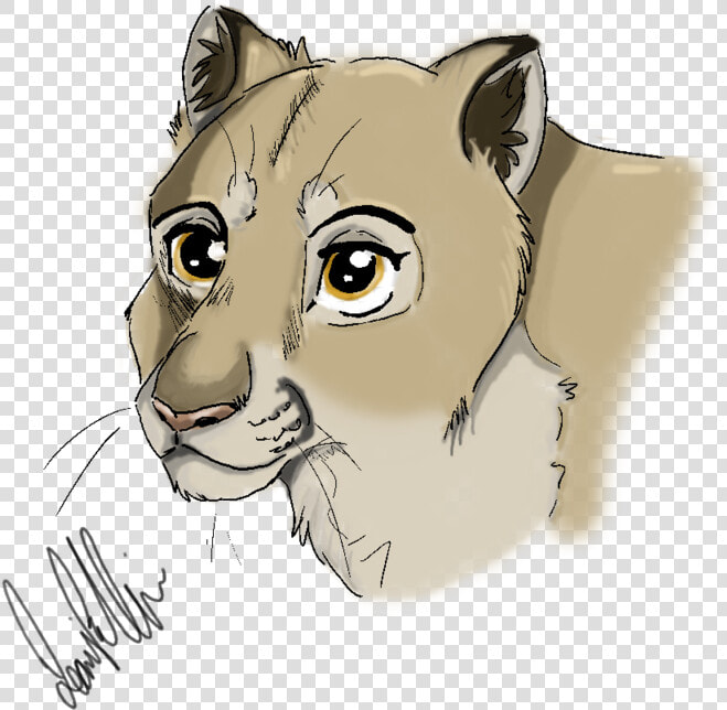 Mountain Lioness   Illustration  HD Png DownloadTransparent PNG