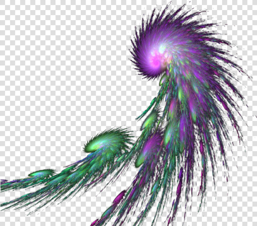  mq  green  purple  feather  feathers   Green And Purple Feather  HD Png DownloadTransparent PNG