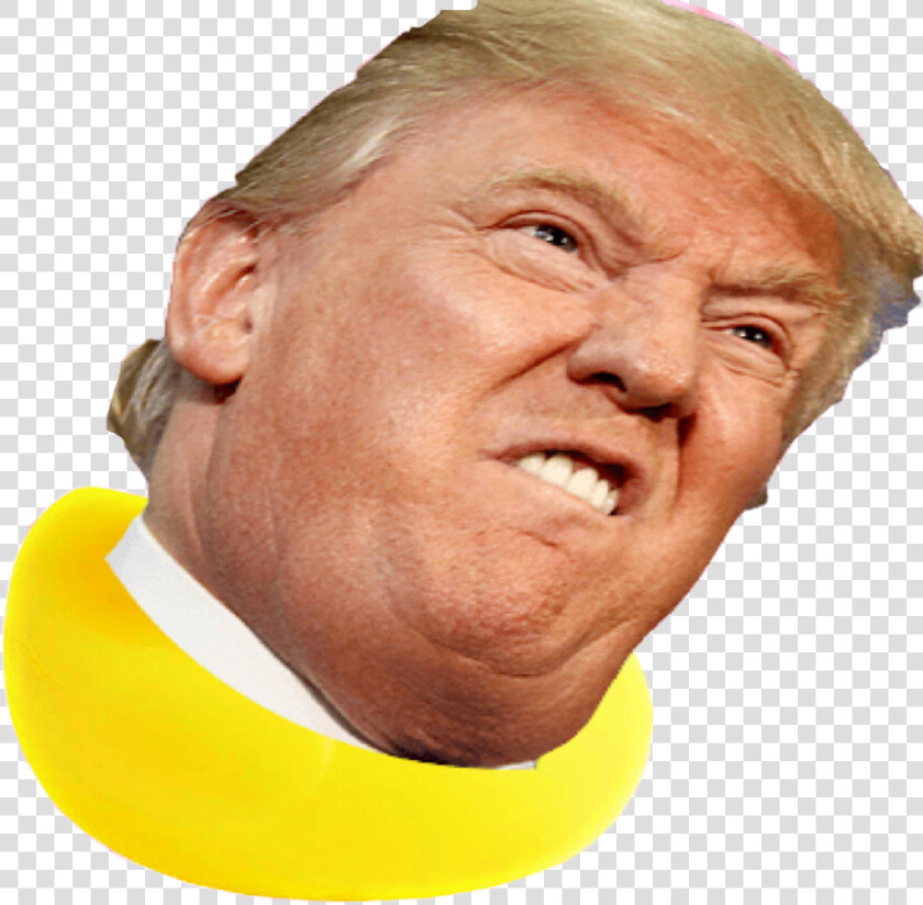 Donald Trump As A Duck   Boris Johnson Trump Twins  HD Png DownloadTransparent PNG