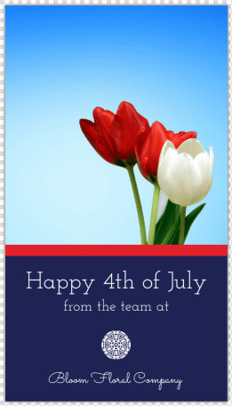 Happy 4th Of July Instagram Story Template Preview   Sprenger  39 s Tulip  HD Png DownloadTransparent PNG