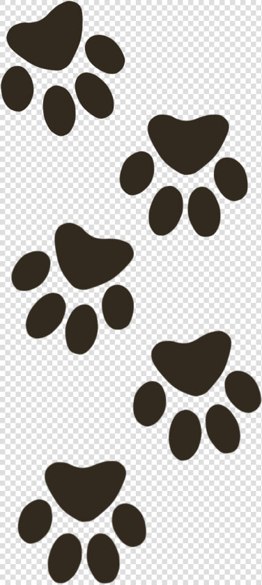 Paw   Png Download   Paws  Transparent PngTransparent PNG