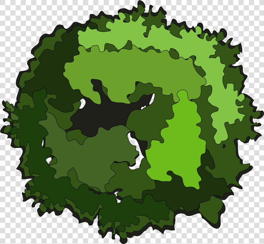 Tree Top View Clipart   Tree Top View Clipart Png  Transparent PngTransparent PNG