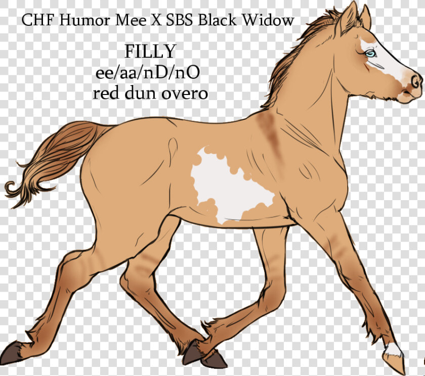 Chf Humor Mee X Sbs Black Widow By Cherryhillfarms   Mane  HD Png DownloadTransparent PNG